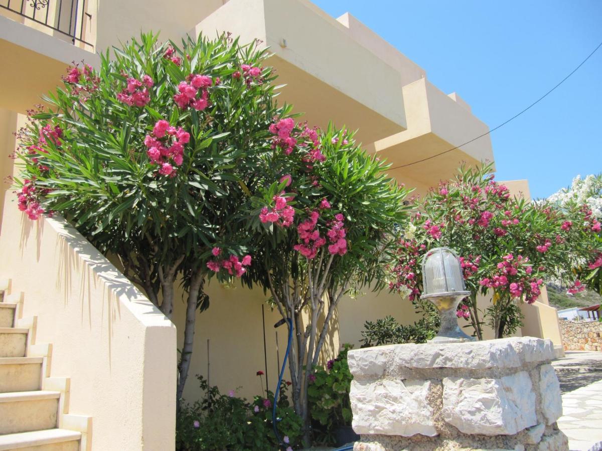 Eugenia Travasarou Sea View Appartments Diakofti Exterior foto